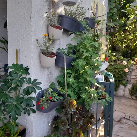 Apartment Batinovic Klek