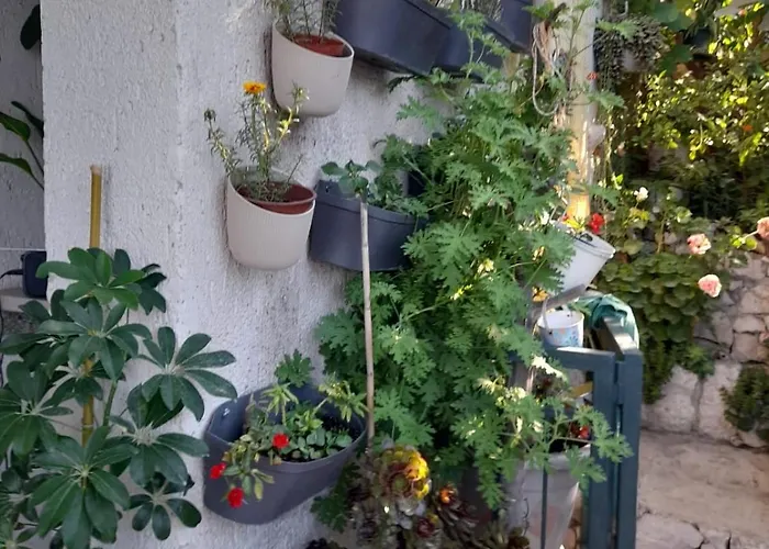 דירה Batinovic קלק